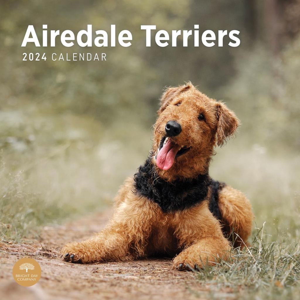 Airedale Terriers 2024 Wall Calendar Main Product Image width=&quot;1000&quot; height=&quot;1000&quot;