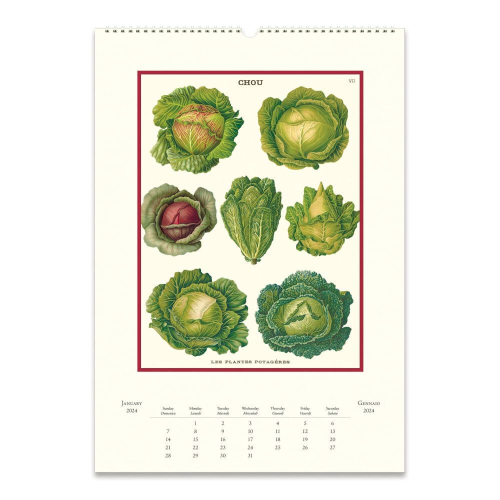 Farmers Market 2024 Poster Wall Calendar