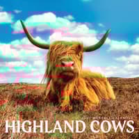 image Highland Cows 2027 Wall Calendar Main Product Image