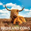image Highland Cows 2027 Wall Calendar Main Product Image