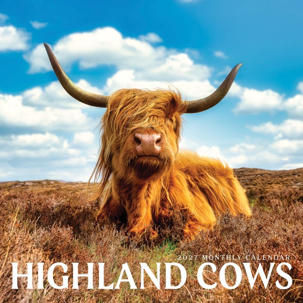 image Highland Cows 2027 Wall Calendar Main Product Image