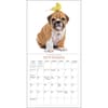 image Puppies and Friends 2025 Mini Wall Calendar Third Alternate Image width="1000" height="1000"