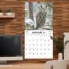 image Birds Of Prey Photo 2025 Wall Calendar Alt4