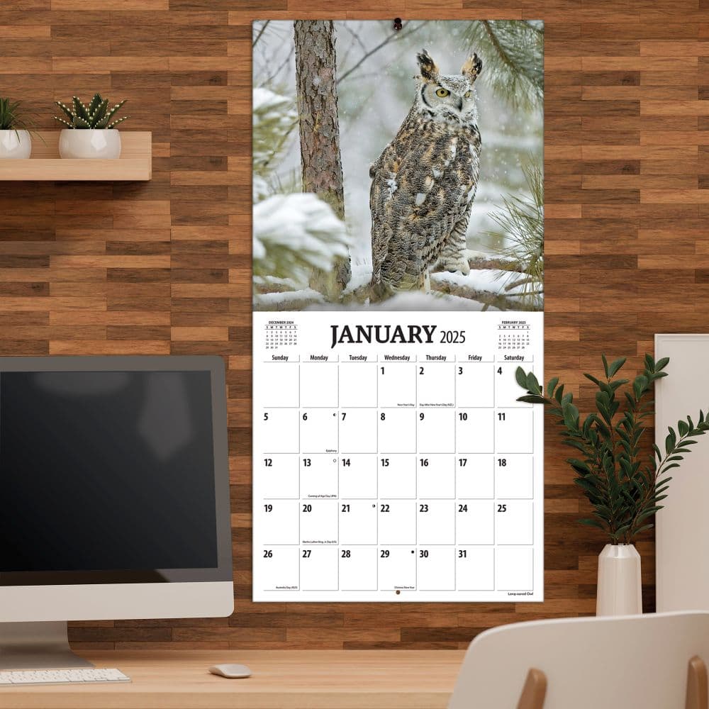 Birds Of Prey Photo 2025 Wall Calendar Alt4