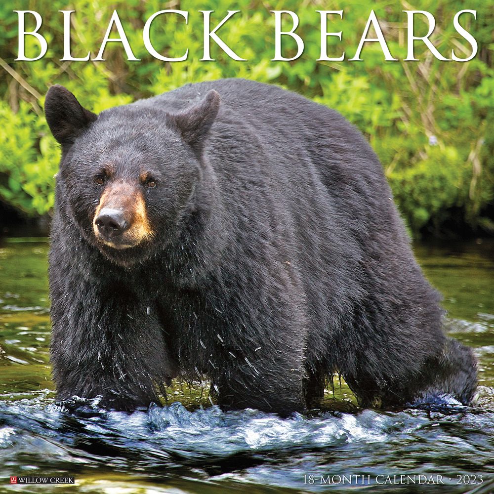 Willow Creek Press Black Bears 2023 Wall Calendar