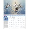 image Above and Beyond 2025 Wall Calendar Second Alternate Image width=&quot;1000&quot; height=&quot;1000&quot;