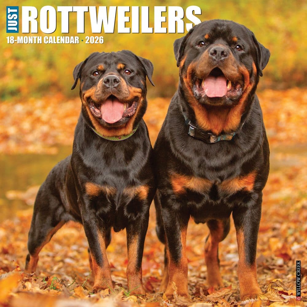 Just Rottweilers 2026 Wall Calendar Main Image