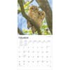 image Owls 2025 Wall Calendar Second Alternate Image