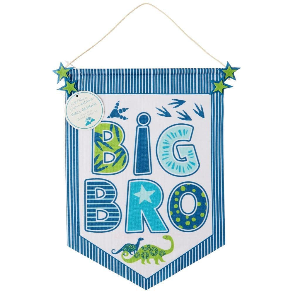 Big Bro Banner Alternate Image 1