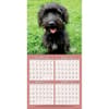 image Doodle Dogs Photo 2027 Wall Calendar