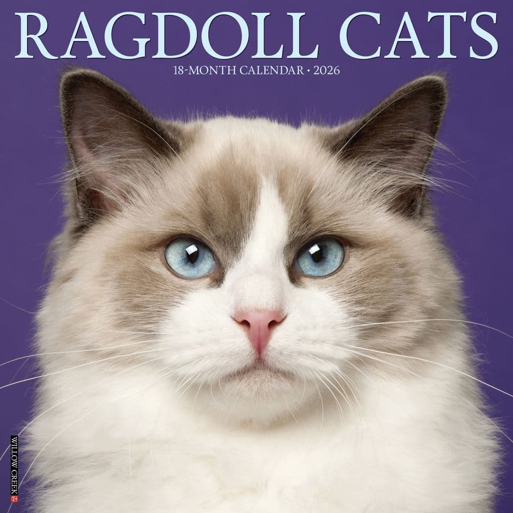 Ragdoll Cats 2026 Wall Calendar  Main Image