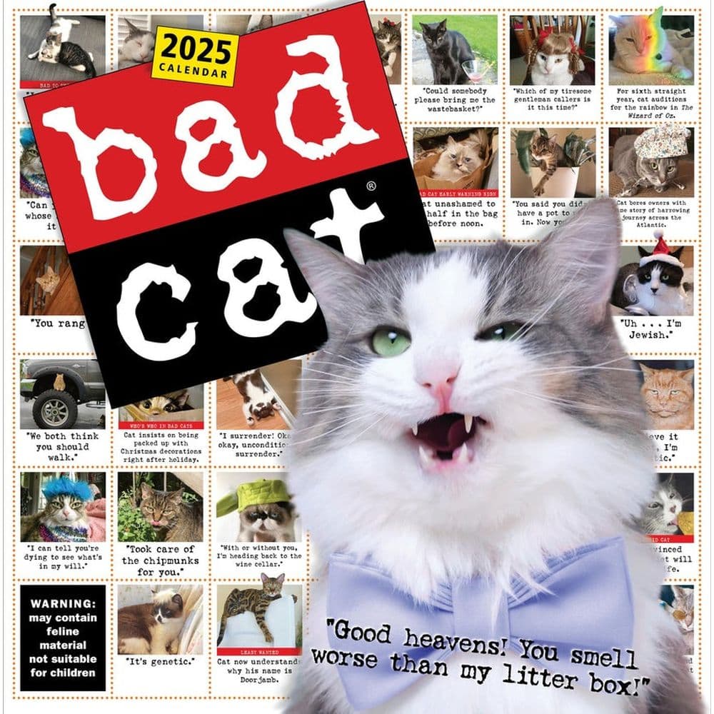 Bad Cat 365 Days 2025 Wall Calendar Main Product Image width=&quot;1000&quot; height=&quot;1000&quot;