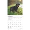 image Rottweilers 2025 Wall Calendar