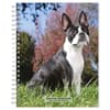 image Boston Terriers 2024 Planner Main Product Image width=&quot;1000&quot; height=&quot;1000&quot;