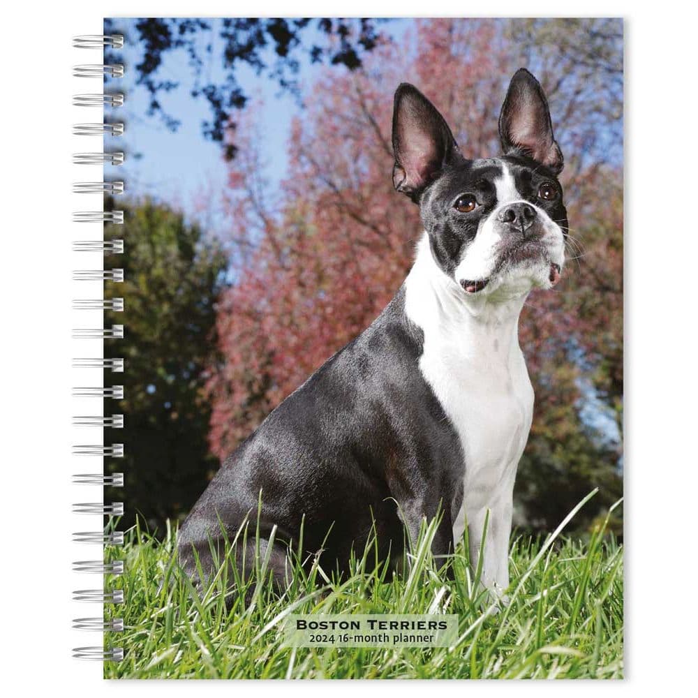 Boston Terriers 2024 Planner Main Product Image width=&quot;1000&quot; height=&quot;1000&quot;