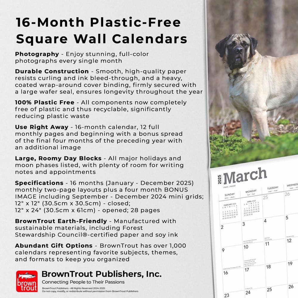 Mastiffs 2025 Wall Calendar Fifth Alternate Image width=&quot;1000&quot; height=&quot;1000&quot;