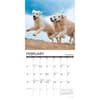 image What Goldens Teach Us 2026 Wall Calendar Second Alternate Image