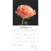 image In the Garden 2025 Wall Calendar