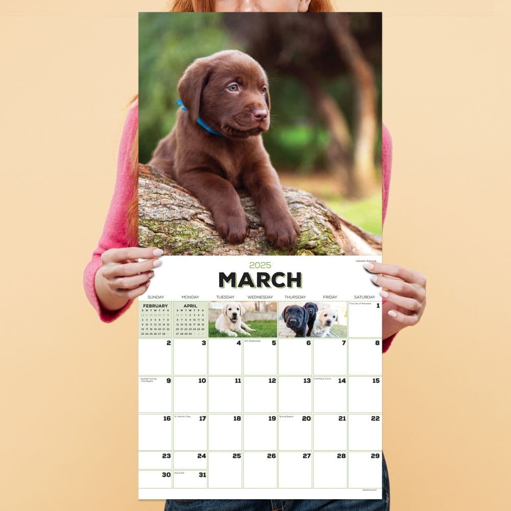 Puppies 2025 Wall Calendar Fourth Alternate Image