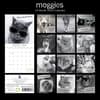 image Moggies 2024 Wall Calendar First Alternate Image width=&quot;1000&quot; height=&quot;1000&quot;