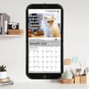 image Cat Chat 2025 Wall Calendar