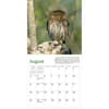 image Audubon Little Owls 2024 Mini Wall Calendar Fourth Alternate Image width=&quot;1000&quot; height=&quot;1000&quot;