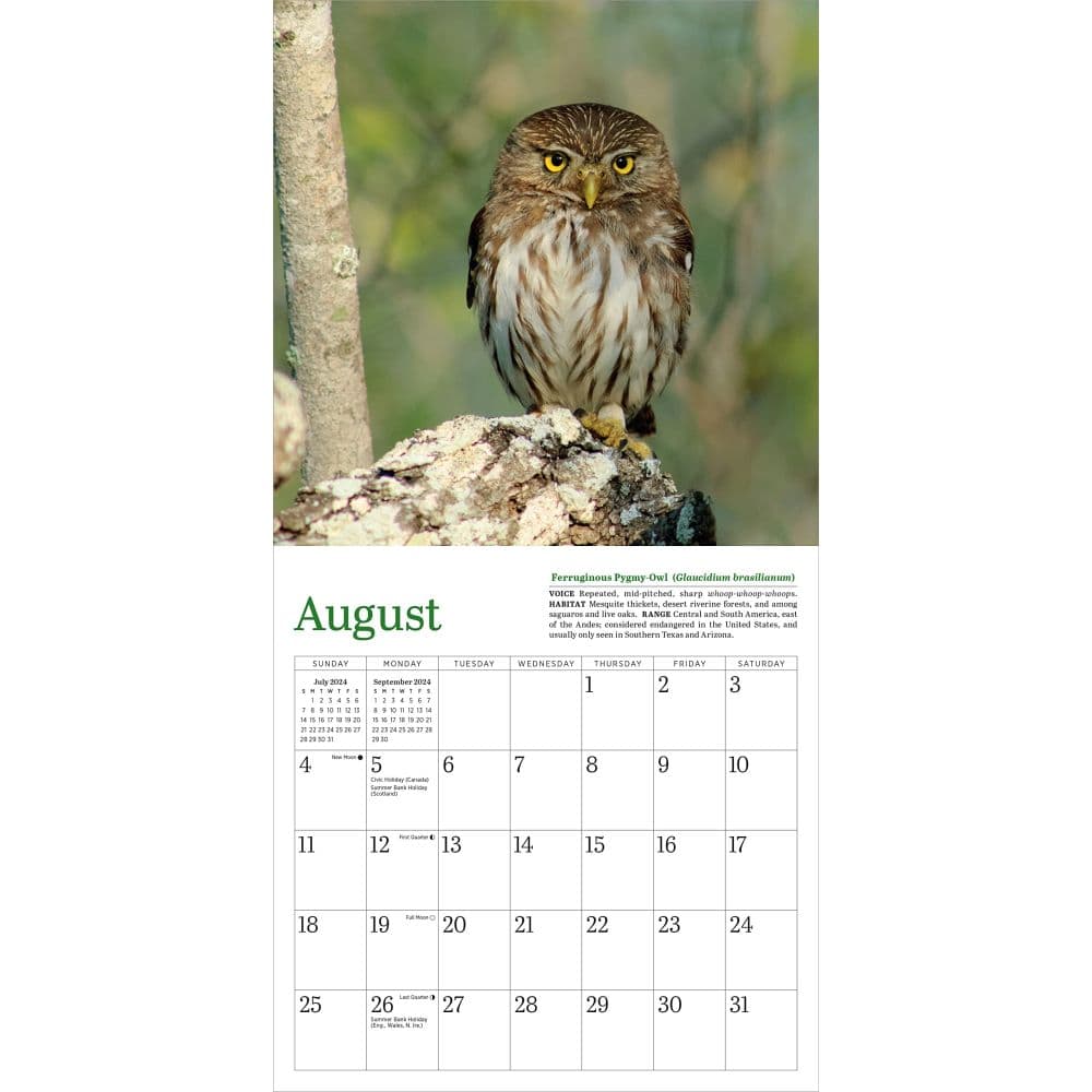 Audubon Little Owls 2024 Mini Wall Calendar Fourth Alternate Image width=&quot;1000&quot; height=&quot;1000&quot;