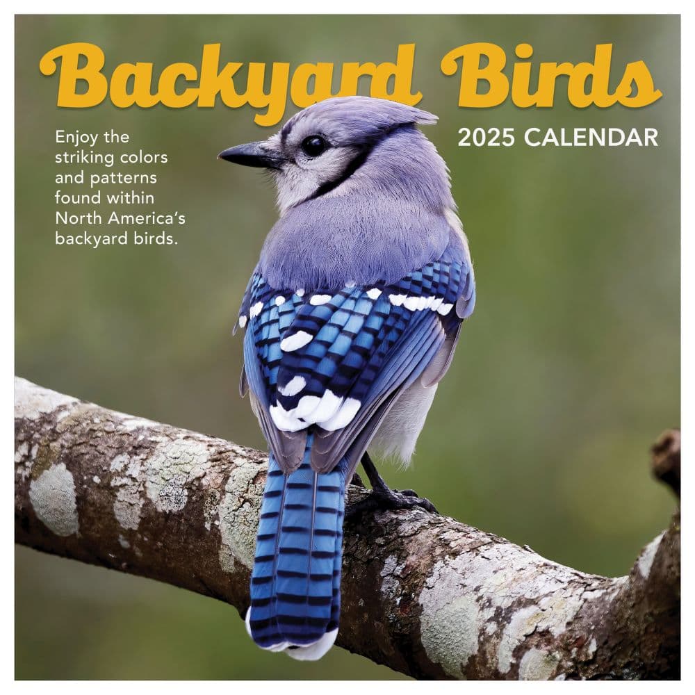 Backyard Birds 2025 Wall Calendar