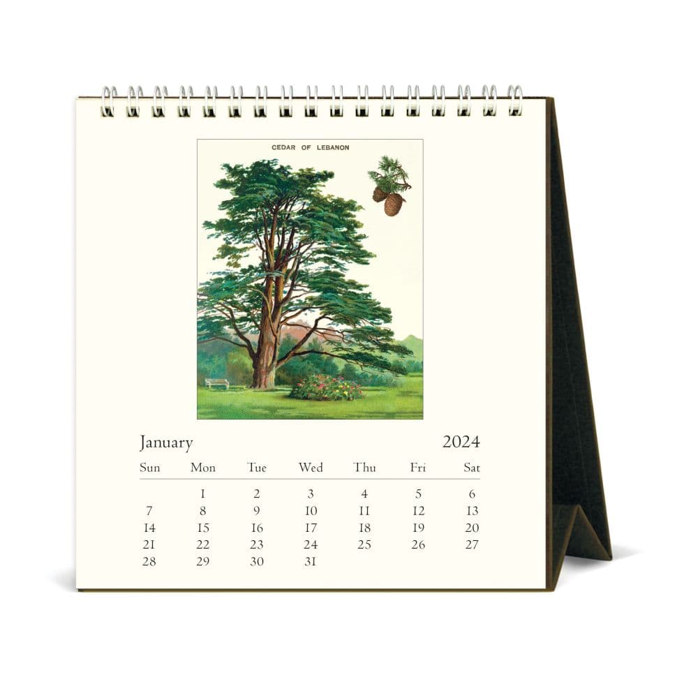 Arboretum 2024 Easel Desk Calendar Second Alternate Image width=&quot;1000&quot; height=&quot;1000&quot;