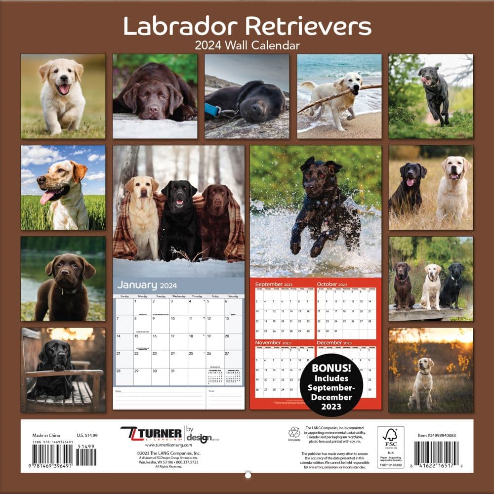 Labrador Retrievers Photo 2024 Wall Calendar