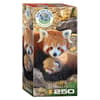 image Red Panda 250pc Puzzle Main Image
