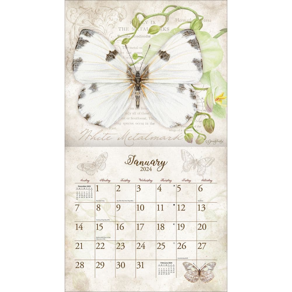 Butterflies Art 2024 Wall Calendar Alternate Image 2