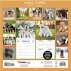 image Playful Puppies 2025 Wall Calendar