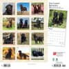 image Flat-Coated Retrievers 2024 Wall Calendar First Alternate Image width=&quot;1000&quot; height=&quot;1000&quot;