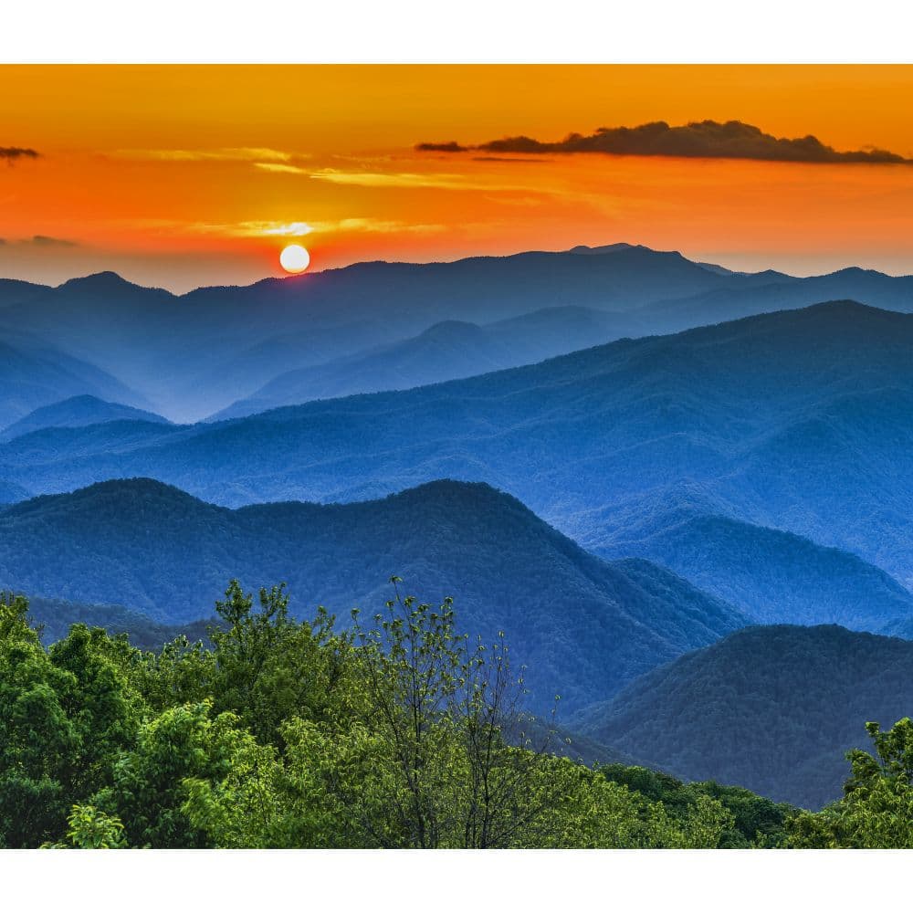 National Parks WWF 2024 Wall Calendar