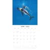 image Whales 2025 Wall Calendar Alt2