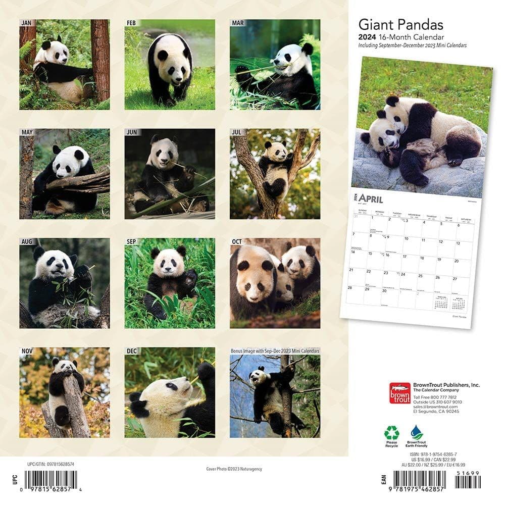 Pandas 2024 Wall Calendar First Alternate Image width=&quot;1000&quot; height=&quot;1000&quot;