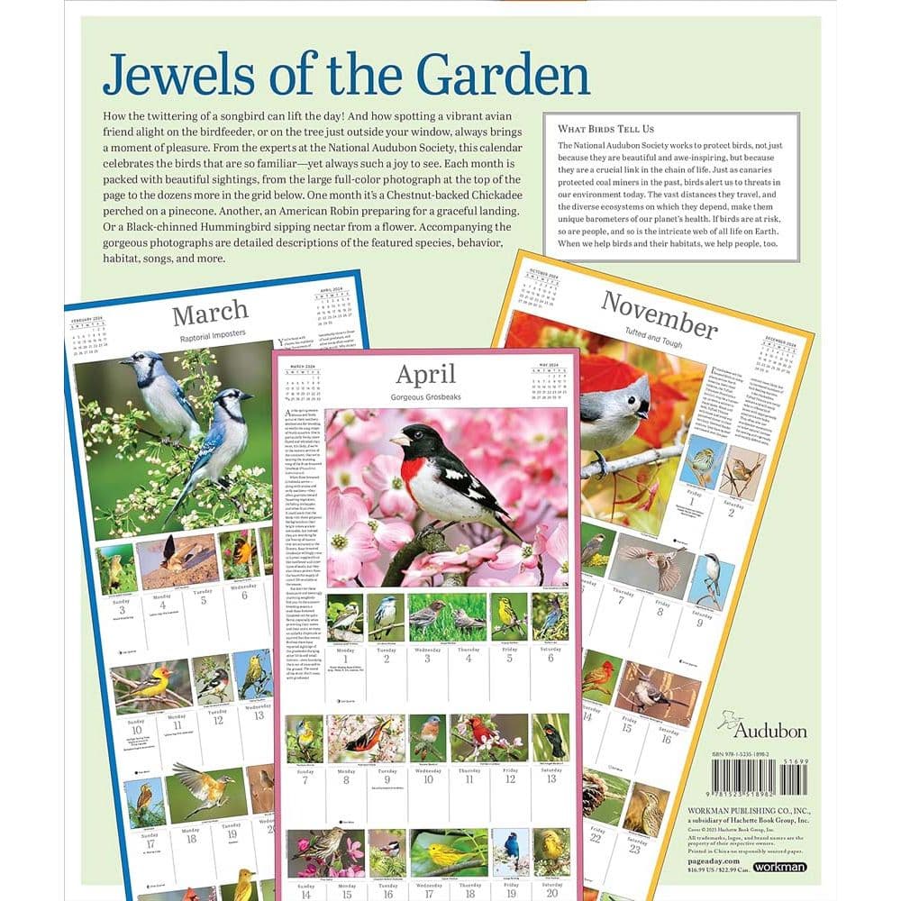 Audubon 365 Songbirds 2024 Wall Calendar