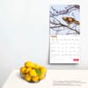 image Canadian Geographic Oiseaux 2024 Wall Calendar on a wall
