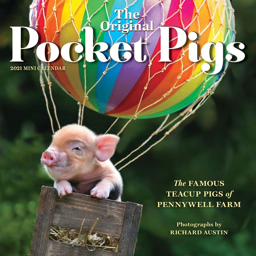 Pocket Pigs Mini Wall Calendar