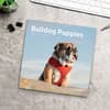 image Bulldog Puppies 2025 Wall Calendar Fourth Alternate Image