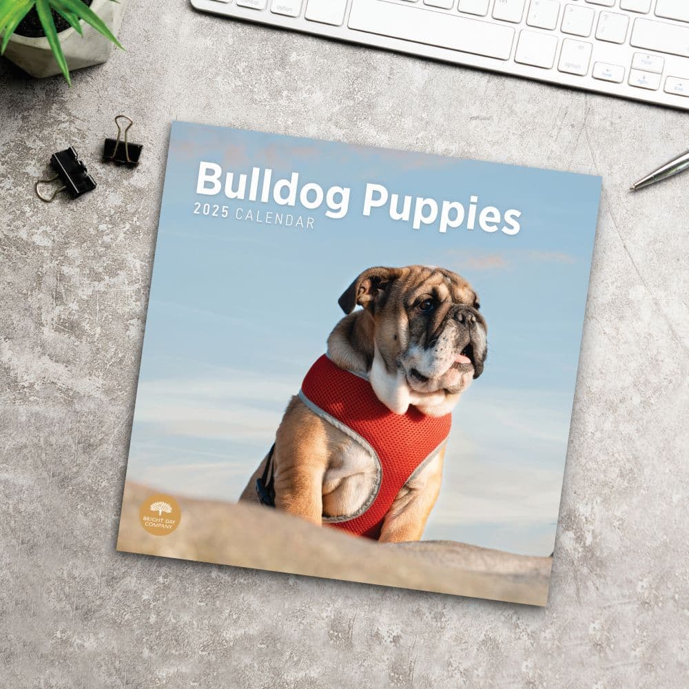 Bulldog Puppies 2025 Wall Calendar Fourth Alternate Image