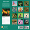 image Tropical Birds 2025 Wall Calendar First Alternate Image width="1000" height="1000"