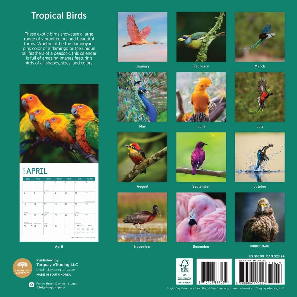 Tropical Birds 2025 Wall Calendar First Alternate Image width="1000" height="1000"