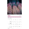 image Jellyfish 2025 Wall Calendar Second Alternate Image width=&quot;1000&quot; height=&quot;1000&quot;