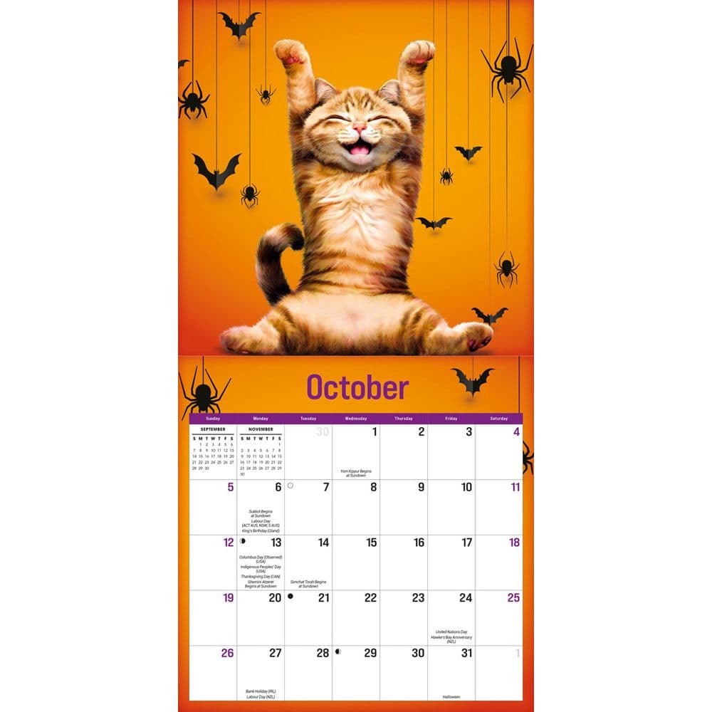 Furry Fun Moreno 2025 Mini Wall Calendar Fourth Alternate Image width="1000" height="1000"