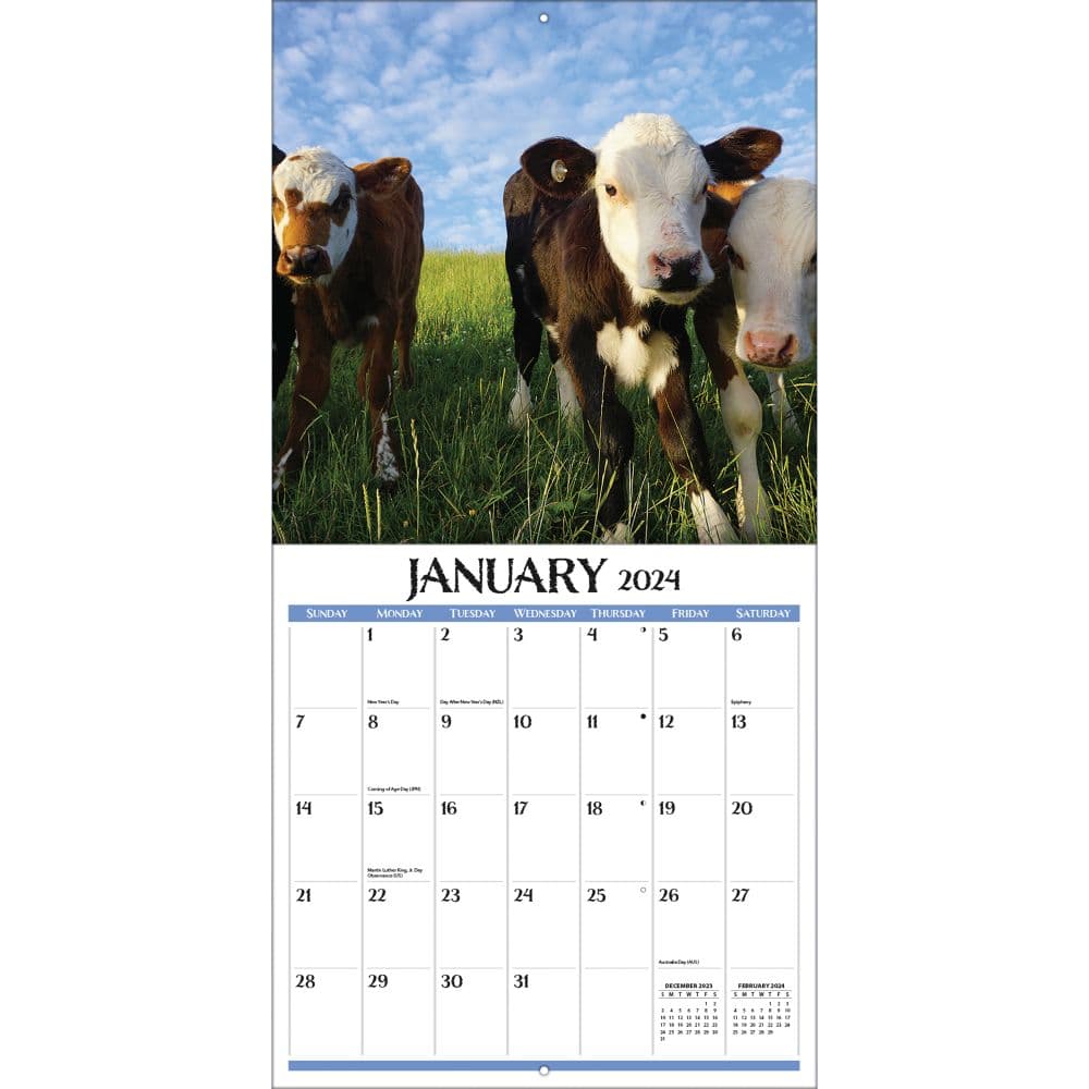 On The Farm 2024 Wall Calendar Alternate Image 2