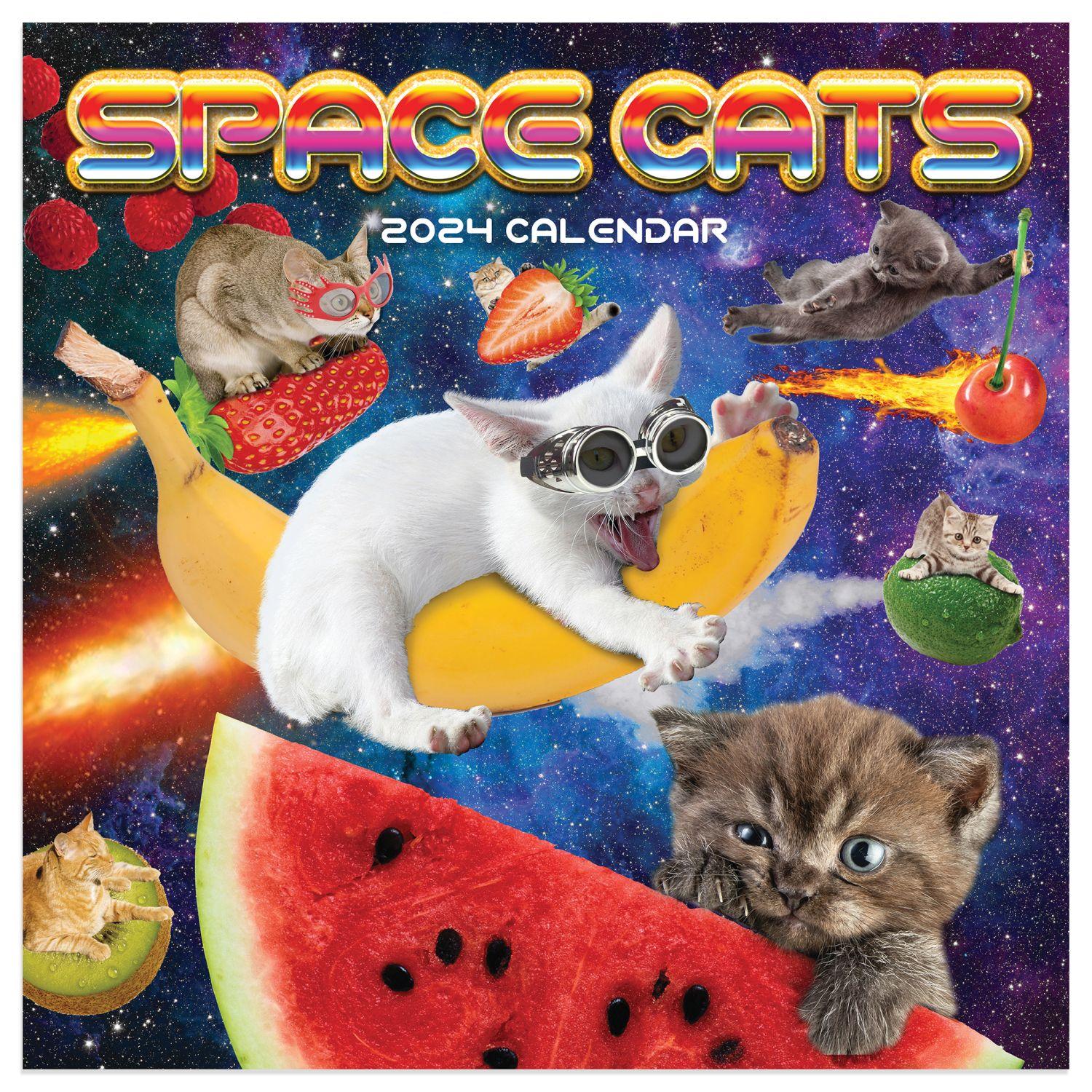 Space Cats 2024 Mini Wall Calendar