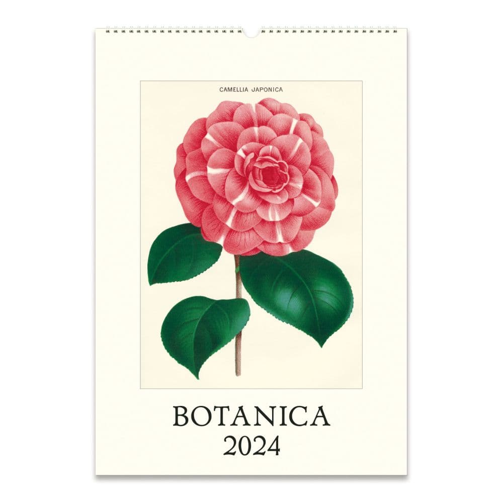 Botanica Art 2024 Poster Wall Calendar