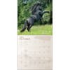 image Horses Spirit 2026 Wall Calendar Third Alternate Image